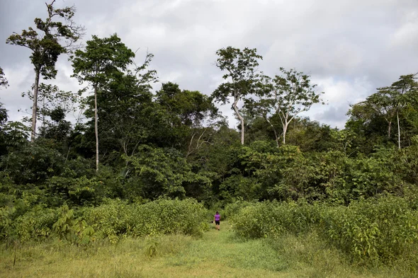 [Scientific American] How Indigenous Groups Are Leading the Way on Data Privacy